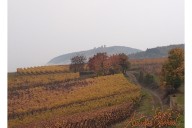 Vins et Crémants d'Alsace Antoine Ehrhart - Wettolsheim - Alsace - France
