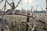 Vins et Crémants d'Alsace Antoine Ehrhart - Wettolsheim - Alsace - France