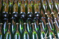 Vins et Crémants d'Alsace Antoine Ehrhart - Wettolsheim - Alsace - France