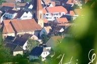Vins et Crémants d'Alsace Antoine Ehrhart - Wettolsheim - Alsace - France