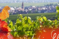 Vins et Crémants d'Alsace Antoine Ehrhart - Wettolsheim - Alsace - France