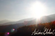 Vins et Crémants d'Alsace Antoine Ehrhart - Wettolsheim - Alsace - France