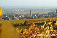 Vins et Crémants d'Alsace Antoine Ehrhart - Wettolsheim - Alsace - France