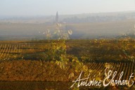 Vins et Crémants d'Alsace Antoine Ehrhart - Wettolsheim - Alsace - France