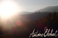 Vins et Crémants d'Alsace Antoine Ehrhart - Wettolsheim - Alsace - France