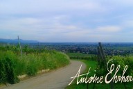 Vins et Crémants d'Alsace Antoine Ehrhart - Wettolsheim - Alsace - France
