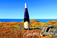 Vins et Crémants d'Alsace Antoine Ehrhart - Wettolsheim - Alsace - France