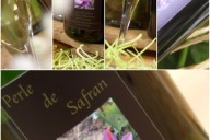 Vins et Crémants d'Alsace Antoine Ehrhart - Wettolsheim - Alsace - France