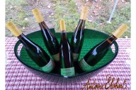 Vins et Crémants d'Alsace Antoine Ehrhart - Wettolsheim - Alsace - France