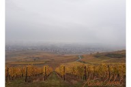 Vins et Crémants d'Alsace Antoine Ehrhart - Wettolsheim - Alsace - France