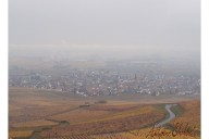 Vins et Crémants d'Alsace Antoine Ehrhart - Wettolsheim - Alsace - France