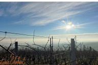 Vins et Crémants d'Alsace Antoine Ehrhart - Wettolsheim - Alsace - France