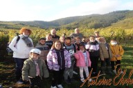 Vins et Crémants d'Alsace Antoine Ehrhart - Wettolsheim - Alsace - France