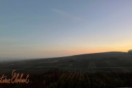Vins et Crémants d'Alsace Antoine Ehrhart - Wettolsheim - Alsace - France