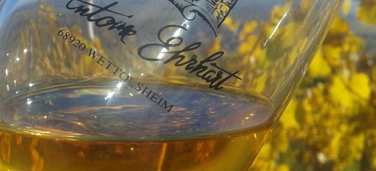 Wine tasting and guided walking tours