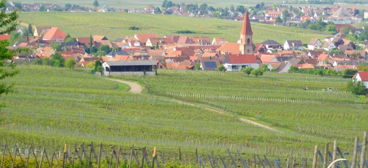 Livraison dans les Vosges (88), Meurthe et Moselle (54), Moselle (57)