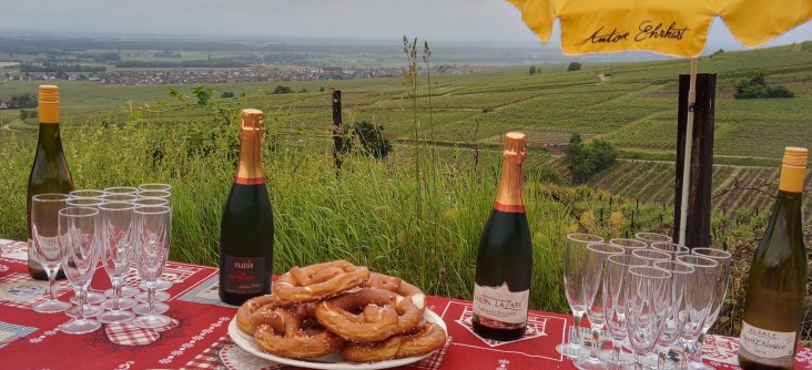 Dégustations et marches gourmandes