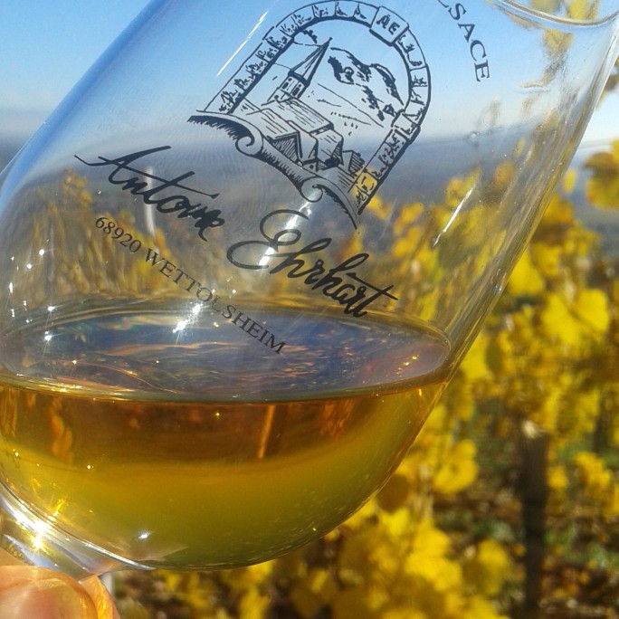 Wine tasting and guided walking tours
