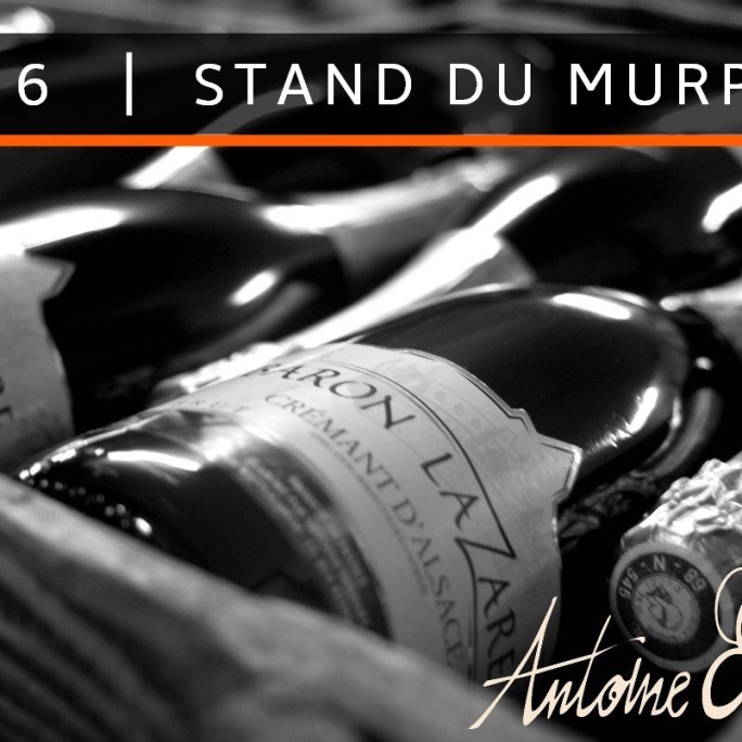 La Foire aux Vins d'Alsace 2017, c'est parti !