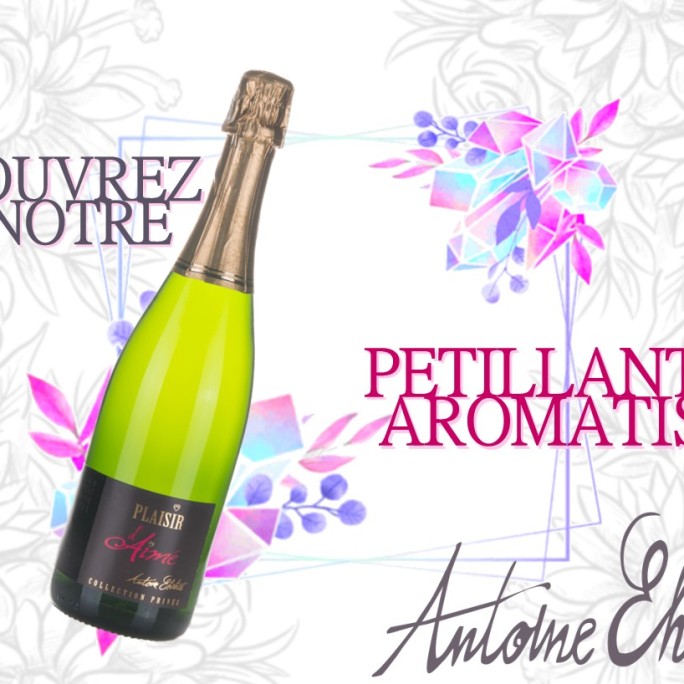 [FAV2018] - La Foire aux Vins d'Alsace 2018, c'est parti !