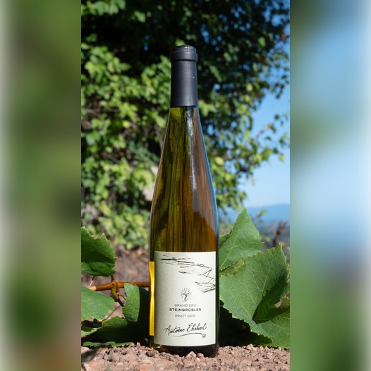 Grand Cru STEINGRUBLER - Pinot Gris 2023
