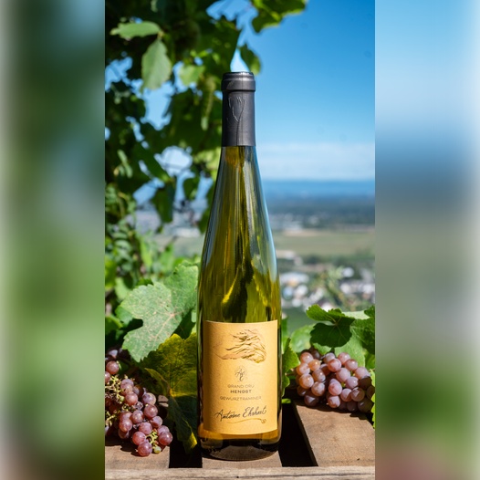 Grand Cru Hengst - Gewurztraminer 2023