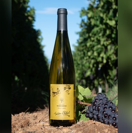 Lieu-dit ROSENBERG - Gewurztraminer 2023