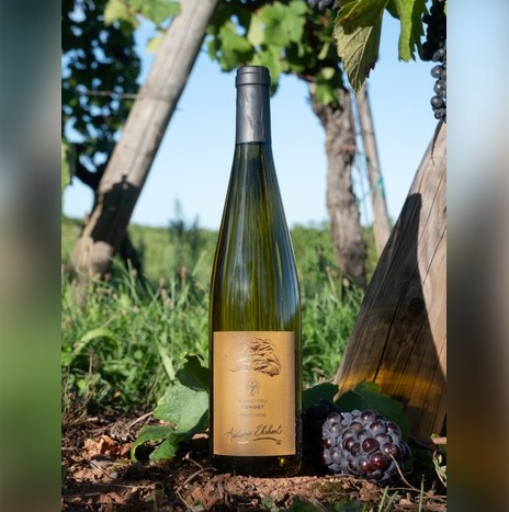 Grand Cru Hengst - Pinot Gris 2023