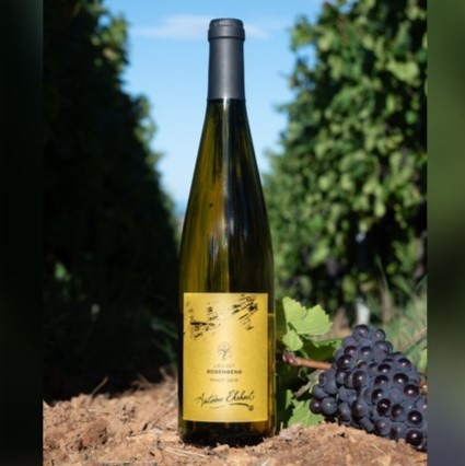 Lieu-dit ROSENBERG - Pinot Gris 2023