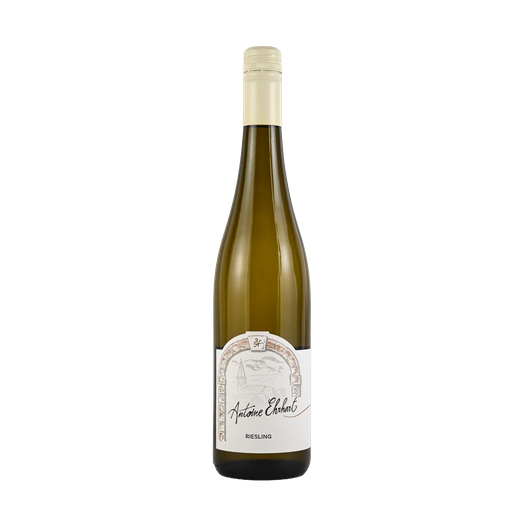Riesling  2024
