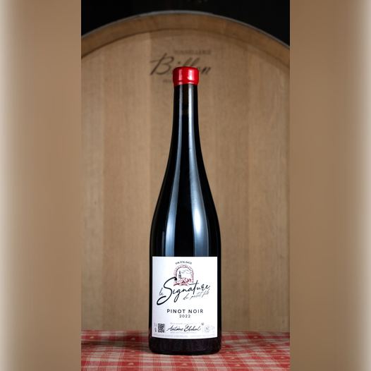 Pinot Noir 2022 - Edition limitée