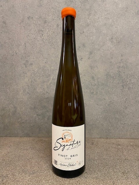 Pinot Gris 2024